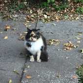 User avatar for Abigail Boudreaux