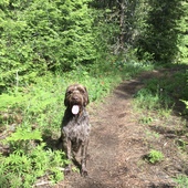 User avatar for Peter Larned