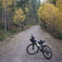 User avatar for David Hinrichs for comment 157592