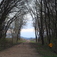 User avatar for David Hinrichs for comment 157592