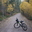 profile image for author David Hinrichs for Desert Riding
