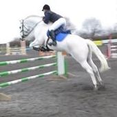 User avatar for Shelley Foster