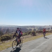 User avatar for Jay Daniel