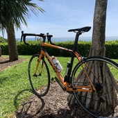 User avatar for Don Marion