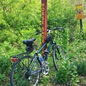 User avatar for Bob Hollinger