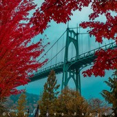 User avatar for Stephenie Stewart