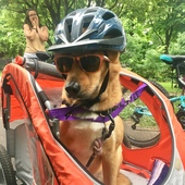 User avatar for Kendra Hutchings