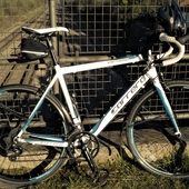 User avatar for Andie Price