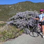 User avatar for Anne Hoppe