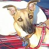 User avatar for Alex Copley