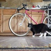 User avatar for Brittnye Svehla