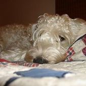 User avatar for Beckie Knecht