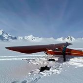 User avatar for Andy Ivy