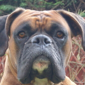 User avatar for Lee Benham