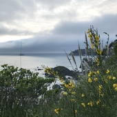 User avatar for Joni Hammond