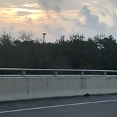 User avatar for Salli Kirkland