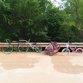 User avatar for Donovan Nelson