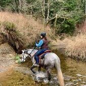 User avatar for Corrina Marote