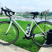 User avatar for Stephanie Feehan