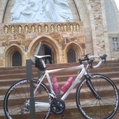 User avatar for Mark Ross