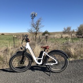 User avatar for Kathi Matthews