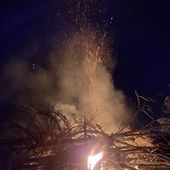 User avatar for David Brickley