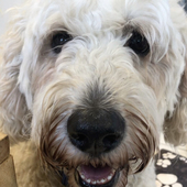 User avatar for Rod Clark