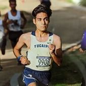 User avatar for Alfredo Tool