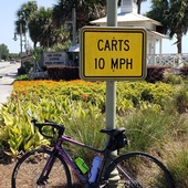 User avatar for Cathy Burdick