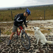 User avatar for Filiberto Enriquez