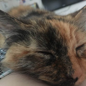 User avatar for Brian Gladden