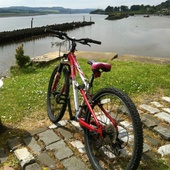 User avatar for Lisa Gardiner