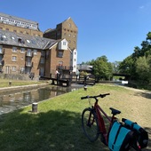 User avatar for Sharon Cox