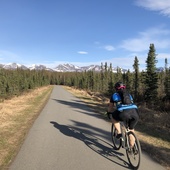 User avatar for Emily Schubert