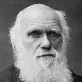 User avatar for Andrew Davis