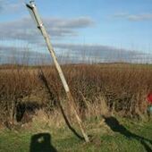 User avatar for Bruce Thompson