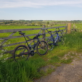 User avatar for Warren Nienaber