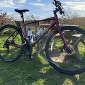 User avatar for Nicholas Bell