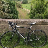 User avatar for Andy Buckle