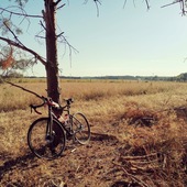 User avatar for Daniel Peltzer