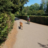 User avatar for Charlotte Brewitt