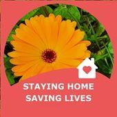 User avatar for Deborah Cottam Barton