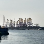 User avatar for Phil Omalley