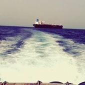 User avatar for Al Roy