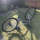 User avatar for Claire Young