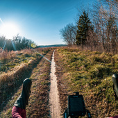 User avatar for Joel A M