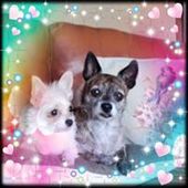 User avatar for Cindy Tait