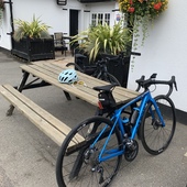 User avatar for Trish Jarvis