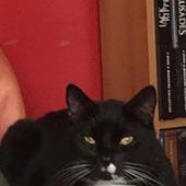 User avatar for Alice Lovell