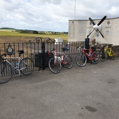 User avatar for Adam Richey